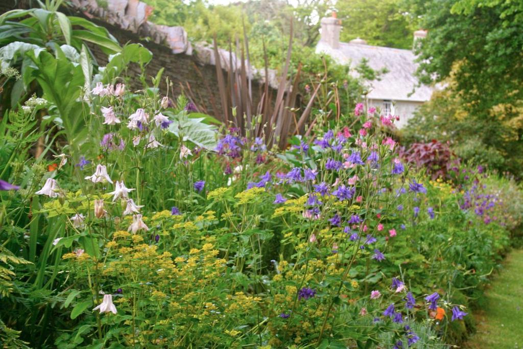 ボスキャッスル The Old Rectory Bed & Breakfast エクステリア 写真